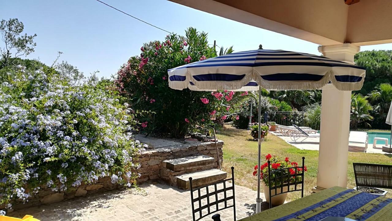 1321 Route De L'Escalet Villa Les Oliviers Ramatuelle Exteriér fotografie